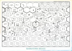 A Day at Barracuda Beach