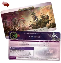Age of Sigmar : Cartes de Charte - Hedonites of Slaanesh