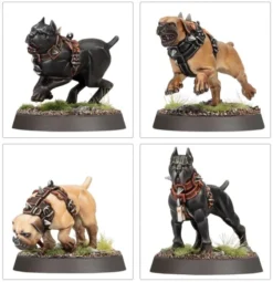 Age of Sigmar : Cities of Sigmar - Régiment de Renom : Dogues de Ven Denst