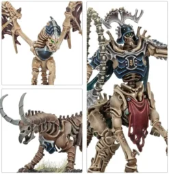 Age of Sigmar : Ossiarch Bonereapers - Avant-garde Kavalos