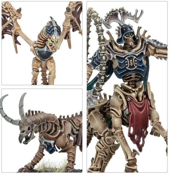 Age of Sigmar : Ossiarch Bonereapers - Avant-garde Kavalos