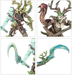 Age of Sigmar : Sylvaneth - Régiment de Renom : La Branchetorve
