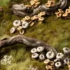 Basing Bits - Forest Mushrooms
