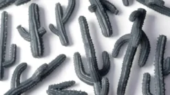 Basing Bits - Sagaro Cacti