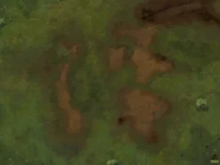 Battlemap Prairie 120x90cm sans quadrillage