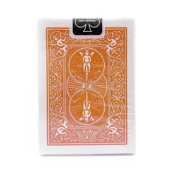 Bicycle : Rider Back - Orange