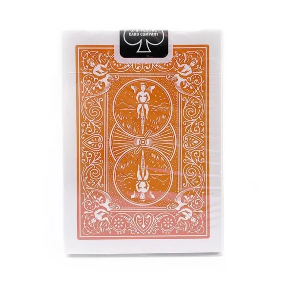 Bicycle : Rider Back - Orange