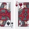 Bicycle - Snake
