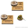 Bolt Action - MDF Vehicle Pin Markers - Japan