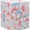 Boulder 100+ Floral Places - Cherry Blossom
