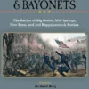 By Swords & Bayonets