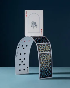 Cartes à jouer Art of Play - Curious Wonders