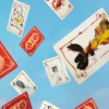 Cartes à jouer Art of Play - Flying Dog: Edition 1