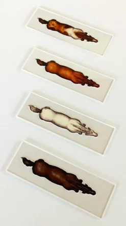 Chariots et montures - Pack de silhouettes 2D