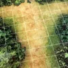 Chemins Forestiers - Battlemap