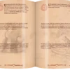 Chroniques d'une Divinité
