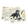 Coffret de 3 puzzles Dinosaures