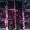 Compile: Playmat 3