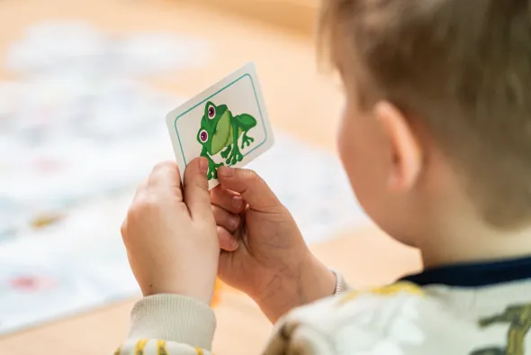 Concept Kids Animaux