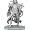 Critical Role Unpainted Miniatures: Mollymauk Tealeaf & Caduceus Clay