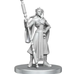 Critical Role Unpainted Miniatures: Beauregard Lionett & Caleb Widogast