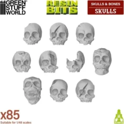 Crânes Humains en Résine (x85)