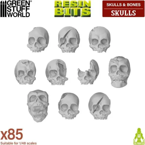 Crânes Humains en Résine (x85)