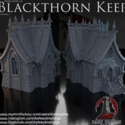 Dark realms - Blackthorn Keep - Maison elfe noir 1