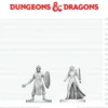 D&D Nolzur's Marvelous Miniatures: Black Gauntlet & Zhentilar Paladin of Bane