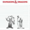 D&D Nolzur's Marvelous Miniatures: Human Druid & Elf Sorcerer