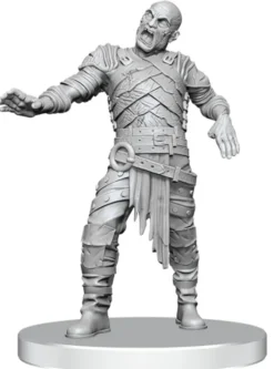 D&D Nolzur's Marvelous Miniatures: Swarm of Rot Grubs & Rot Grub Victim