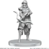 D&D Nolzur's Marvelous Miniatures: Assassin & Berserker