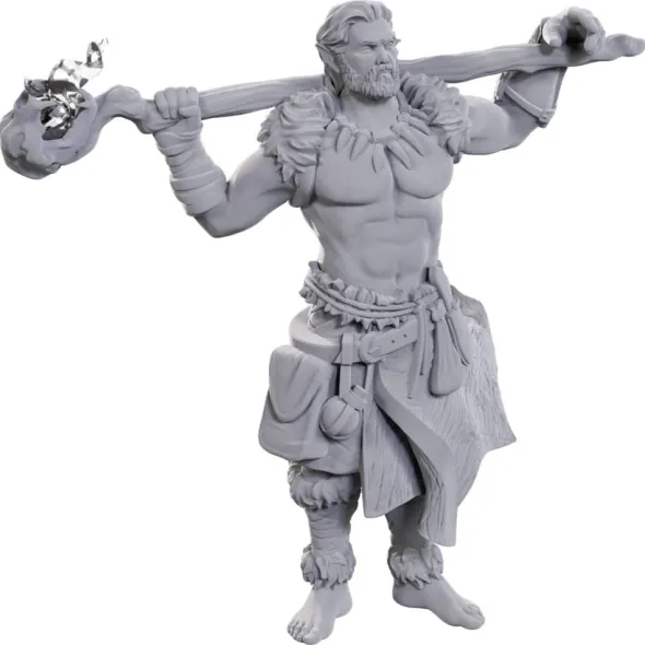 D&D Nolzurs Marvelous Miniatures: Archdruid & Martial Art Adept