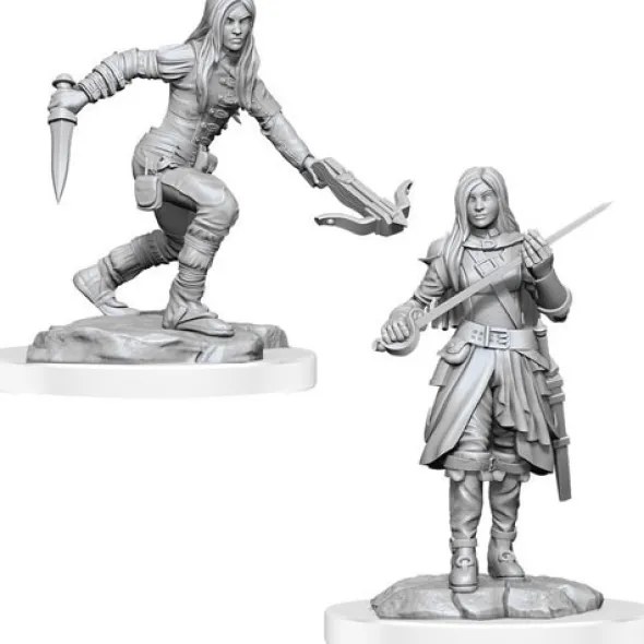 D&D Nolzur's Marvelous Unpainted Miniatures: Half-Elf Rogue Female
