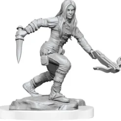 D&D Nolzur's Marvelous Unpainted Miniatures: Half-Elf Rogue Female
