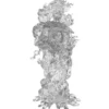 D&D Nolzur's Marvelous Unpainted Miniatures: Spectral