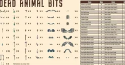 Dead Animal Bits