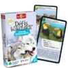 Défis Nature - Animaux Inséparables
