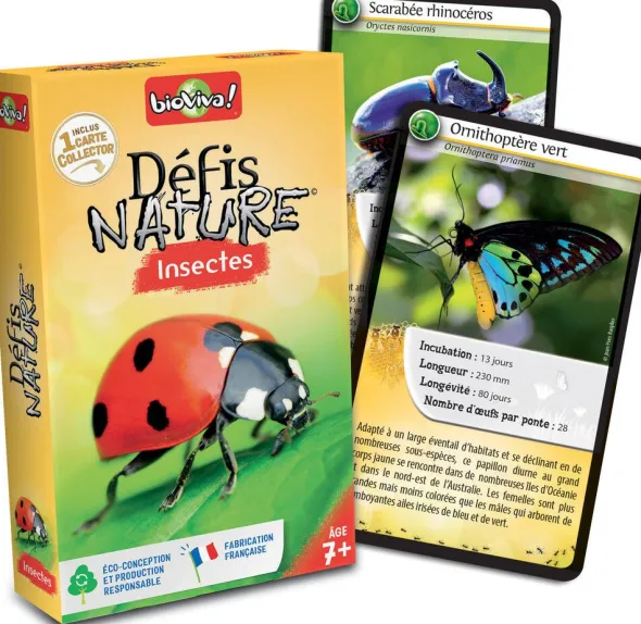 Défis Nature - Insectes