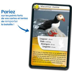 Défis Nature - Oiseaux