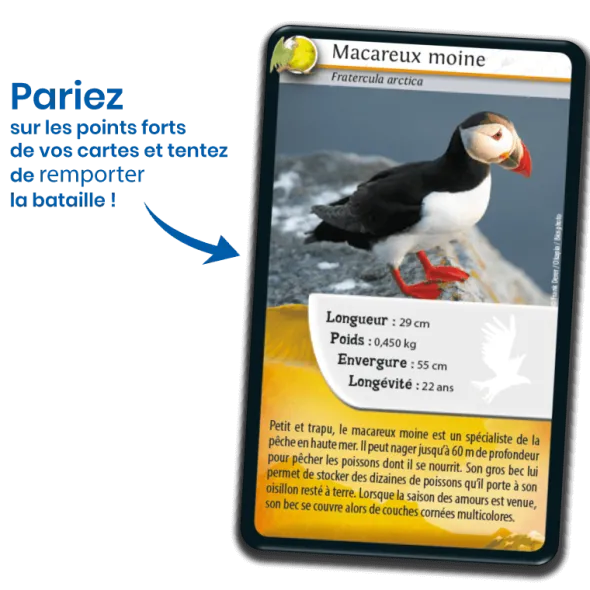 Défis Nature - Oiseaux