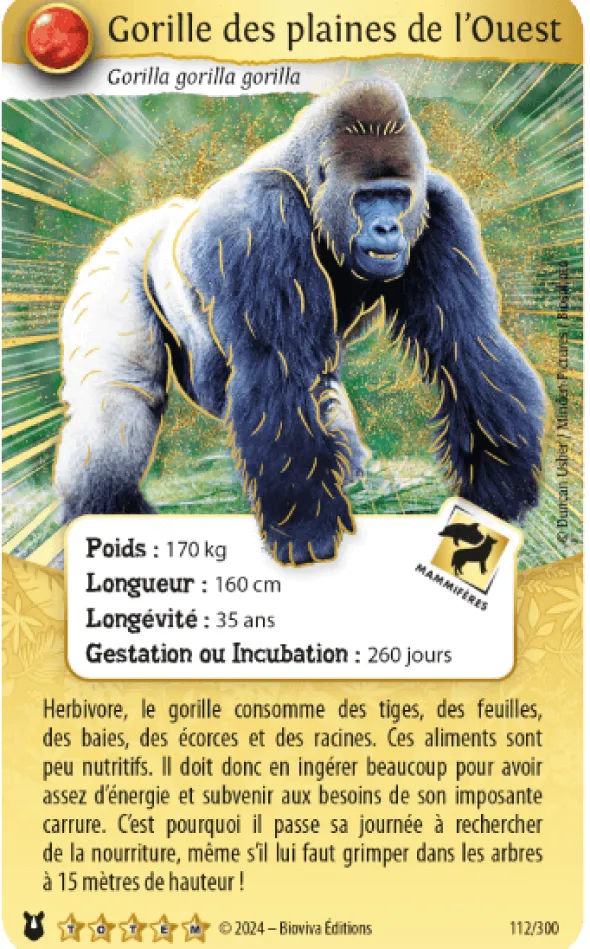 Défis Nature Protect - Pack de démarrage - Gorille