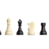 DGT Chess Starter Box