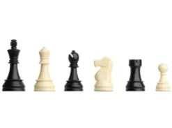 DGT Chess Starter Box