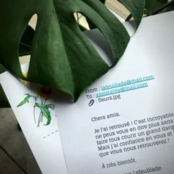 Disparition du professeur Lafeuillade