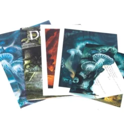 Dragons - Encyclopédie 2 Inframonde - Kit Dragon Rouge