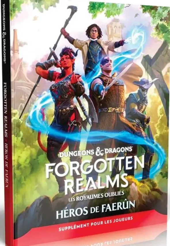 Dungeons & Dragons - Forgotten Realms : Héros de Faerûn