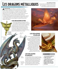 Dungeons & Dragons : La Légende de Drizzt - Le Guide Officiel des Royaumes Oubliés