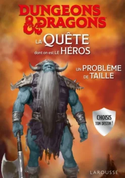 Dungeons & Dragons : La Quête dont on est le héros - Un problème de taille