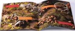 Enchanted Forest Basing Box